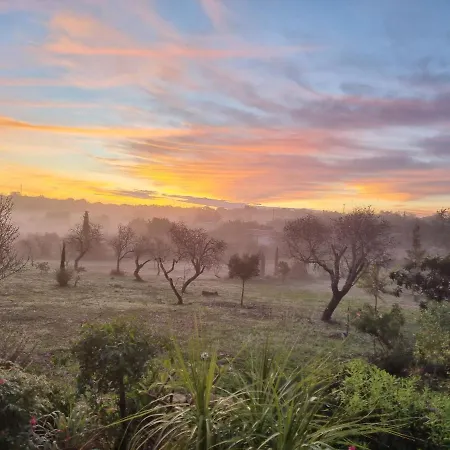 Lodge Eco - Alfarrobas *