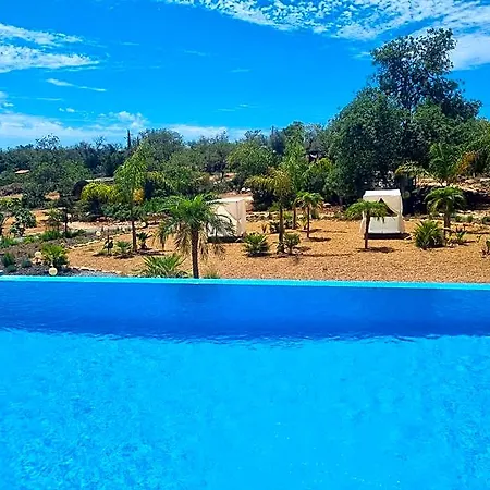Lodge Eco - Alfarrobas *