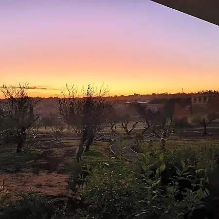 Eco - Alfarrobas Lodge *