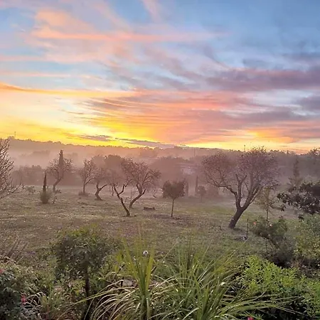 Eco - Alfarrobas Lodge Algoz