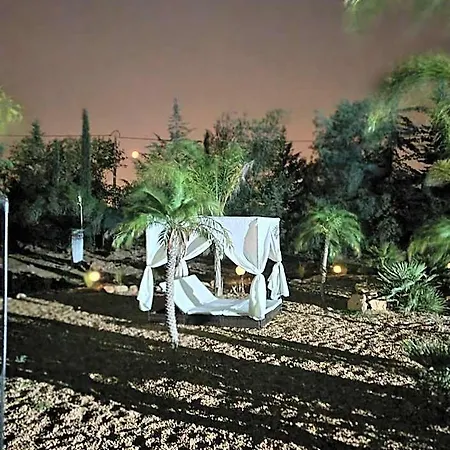 Lodge Eco - Alfarrobas